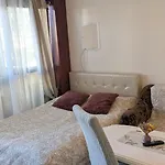 Pas Jolanta Palanga