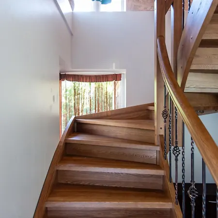 Pas Jolanta Паланга