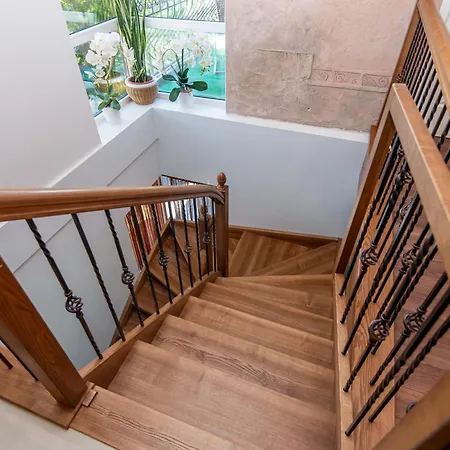 Pas Jolanta Проживание в семье Паланга